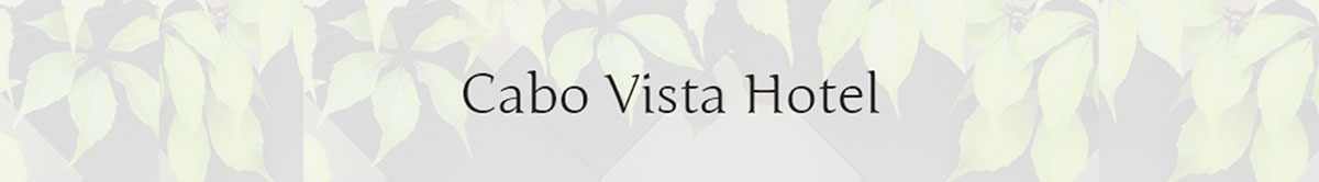 click to view our website. Cabo Vista Hotel
